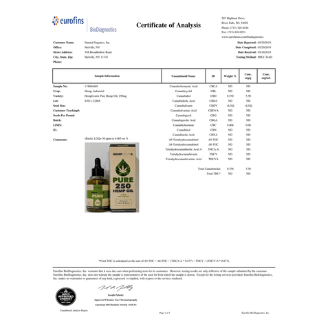 HempCeutix Pure 250 CBD Oil Tincture (6 Pack) - Hempceutix
